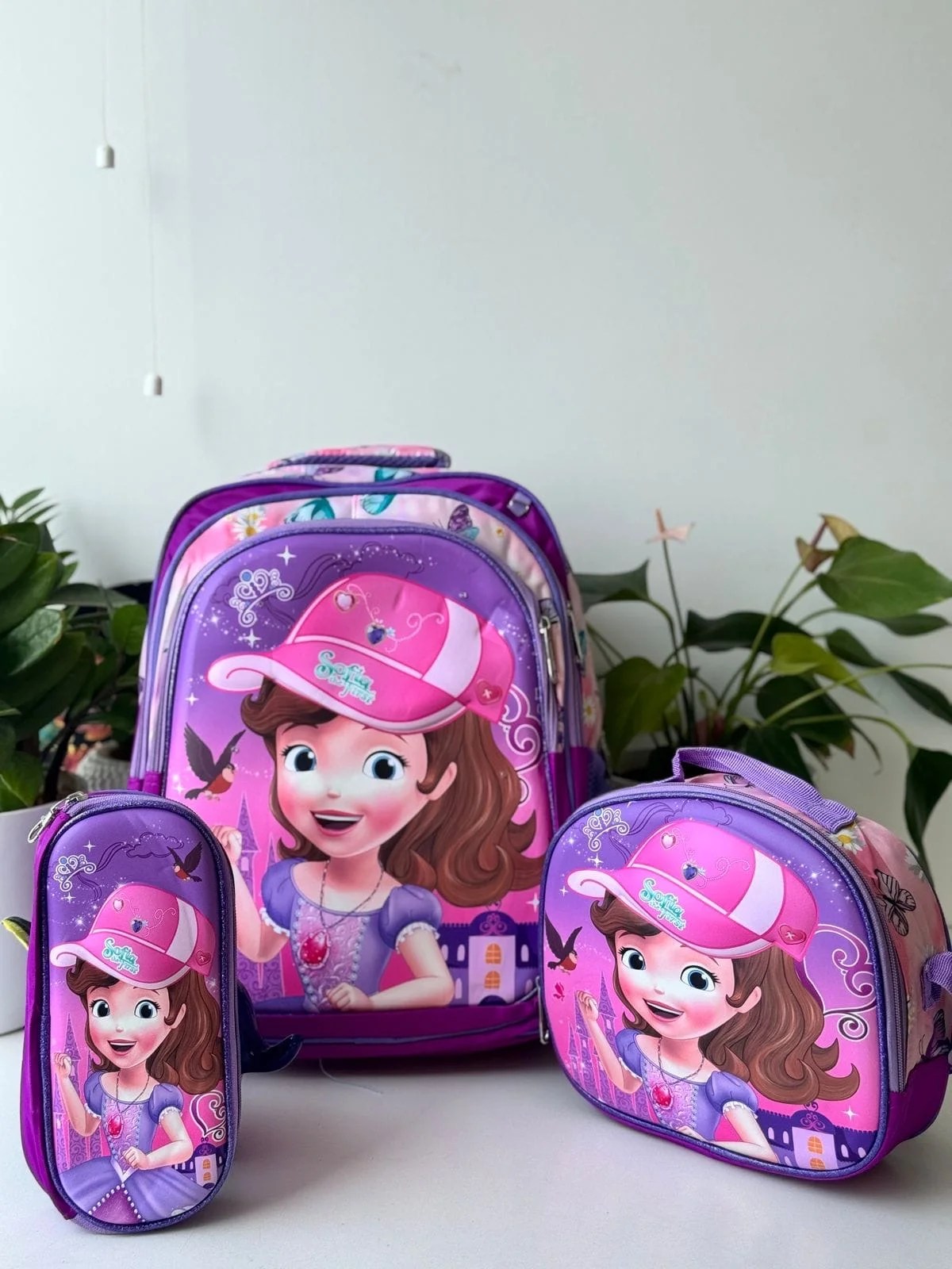 3 in 1 Hardshell Backpack