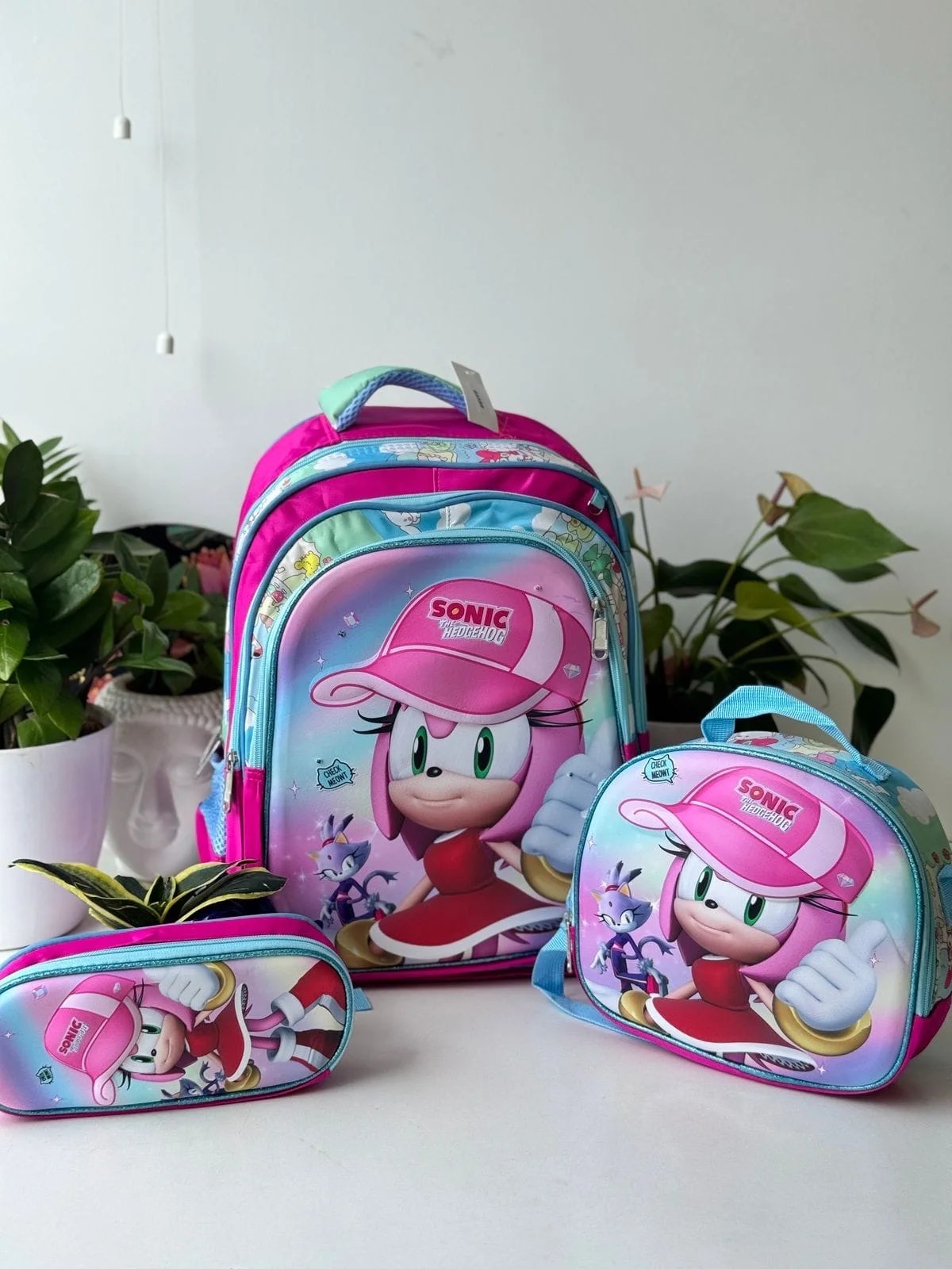 3 in 1 Hardshell Backpack