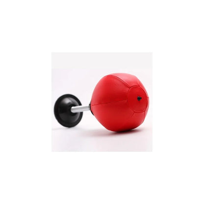 Punching Bag
