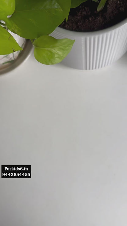 Intellectual building blocks