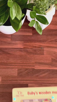 Wooden maze puzzle(30*30 cm)