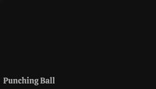 Punching Bag