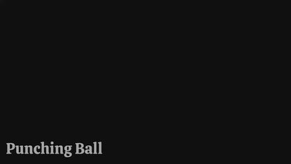 Punching Bag