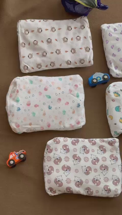 Seed Pillow
