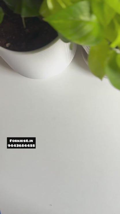 Balanced rainbow block