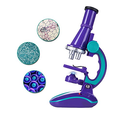 Microscope
