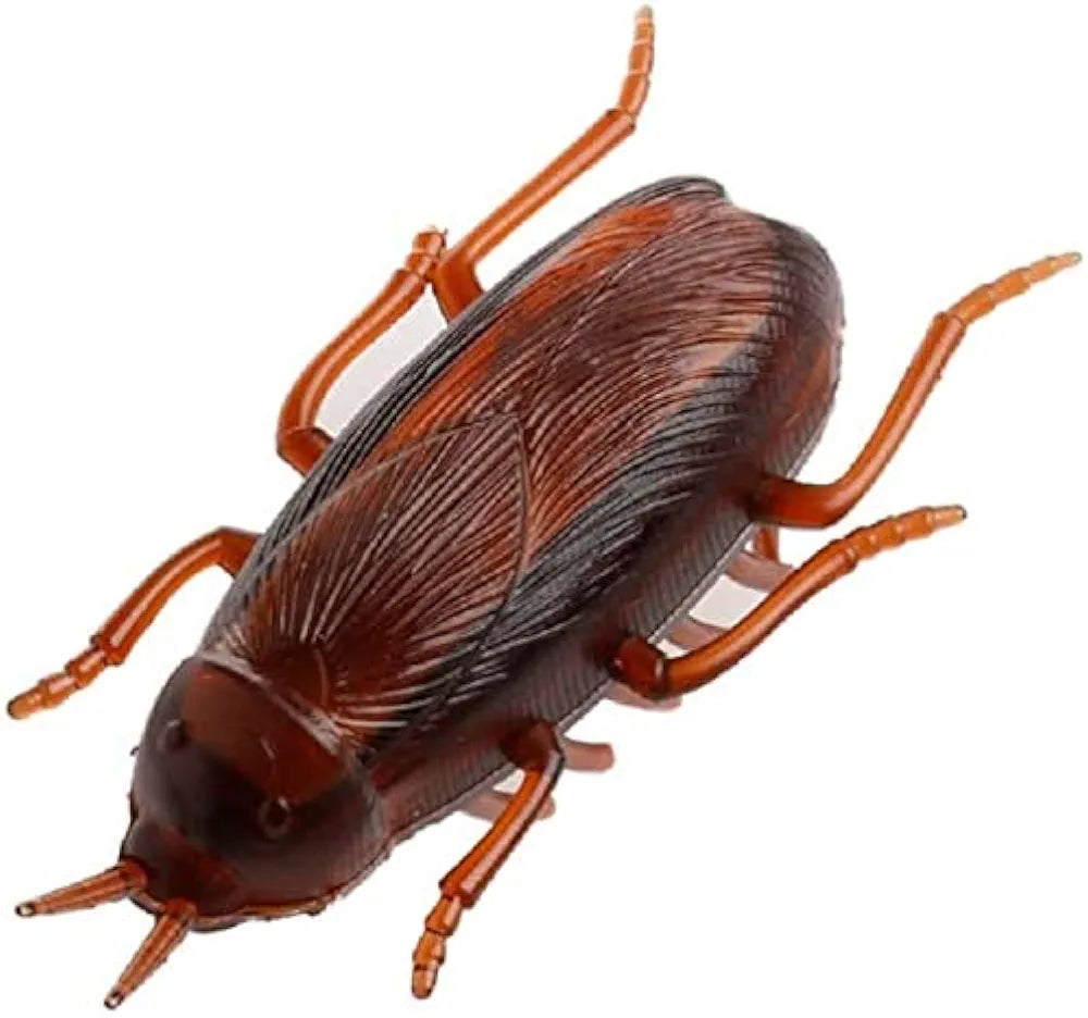 Realistic Insect Toy