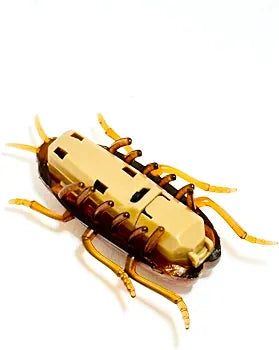 Realistic Insect Toy