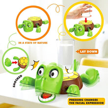 Turtle coaster