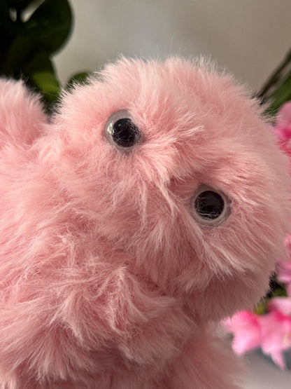 Owl soft plush Toy