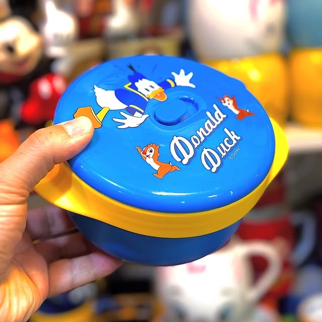 Stylish Insulated Food Bowl