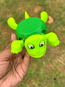 Turtle coaster