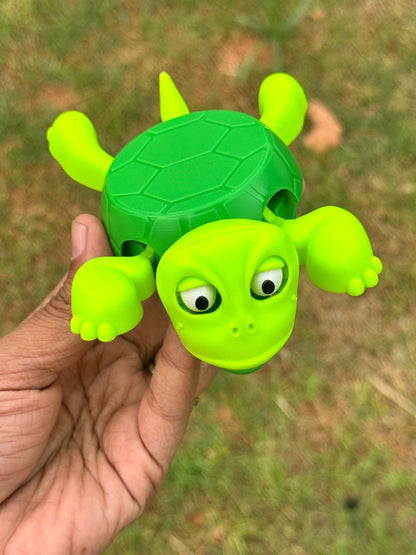Turtle coaster