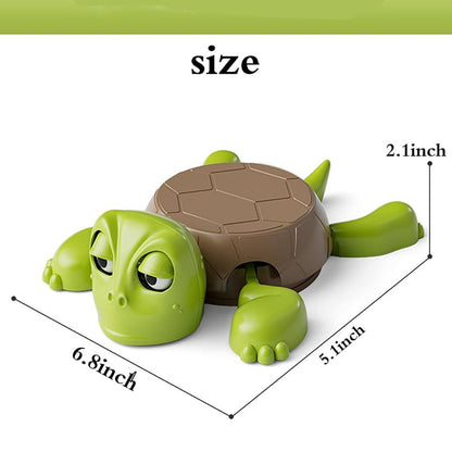 Turtle coaster