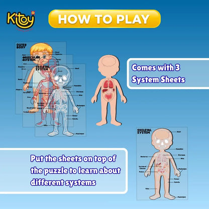 Human body