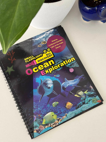Flashlight exploration book