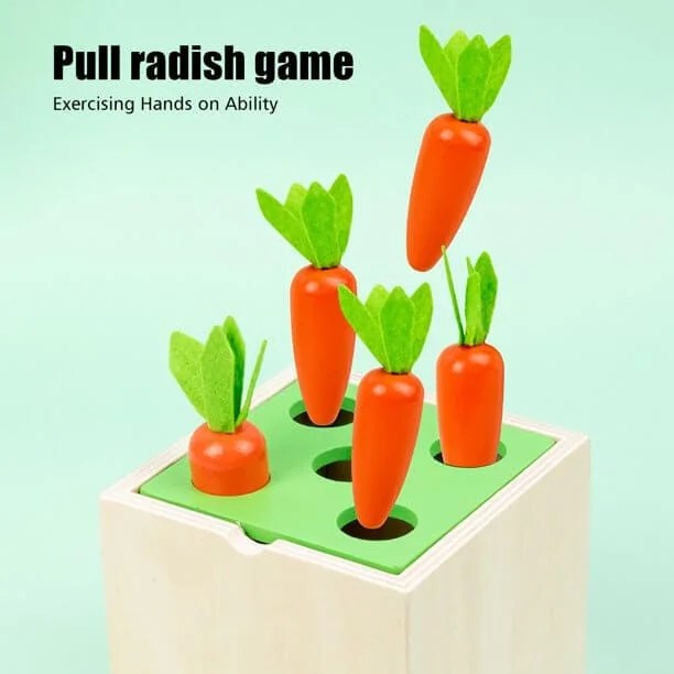 5 in 1 montessori wooden toy