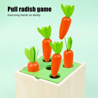5 in 1 montessori wooden toy