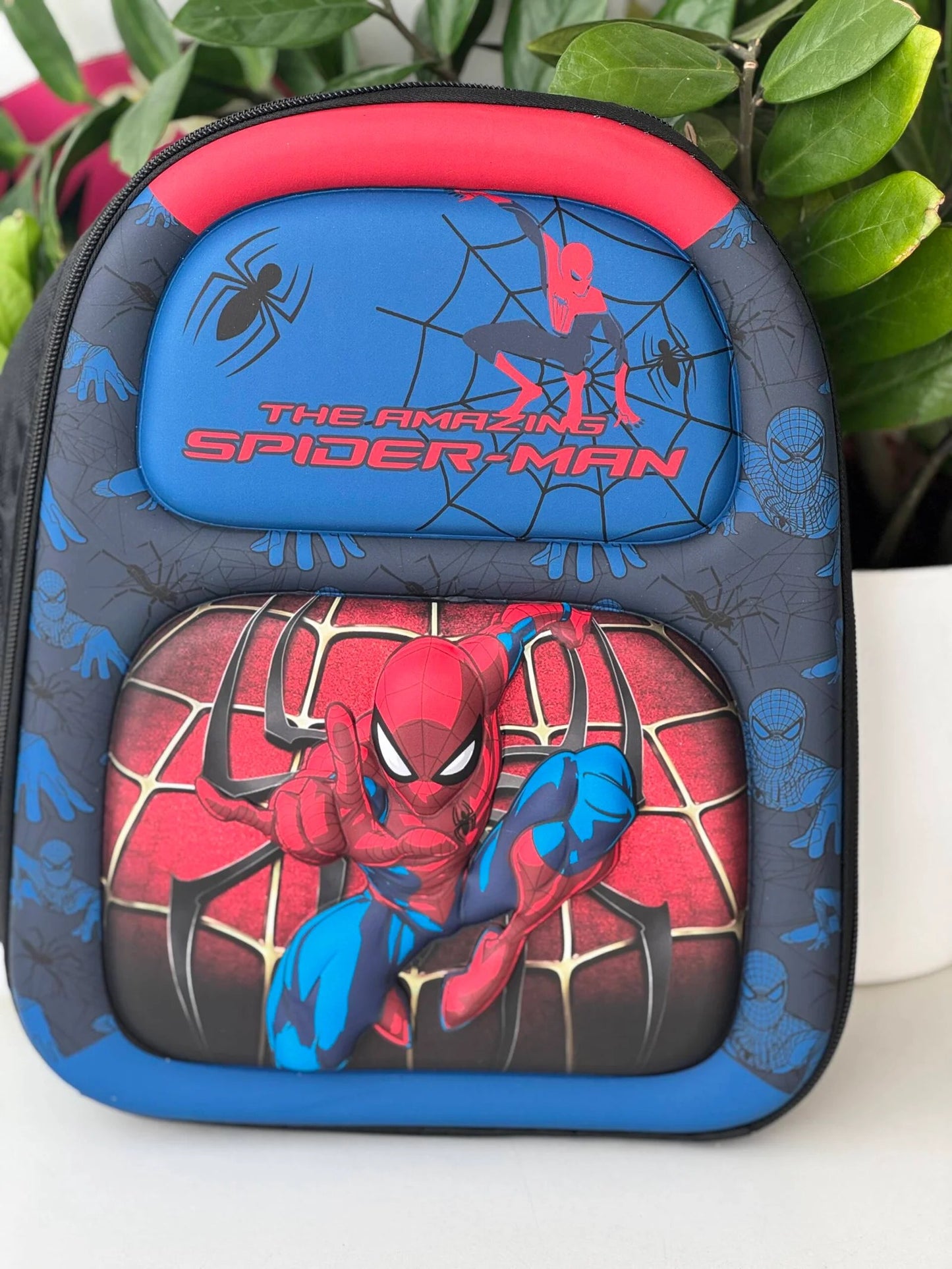 Hardshell Backpack