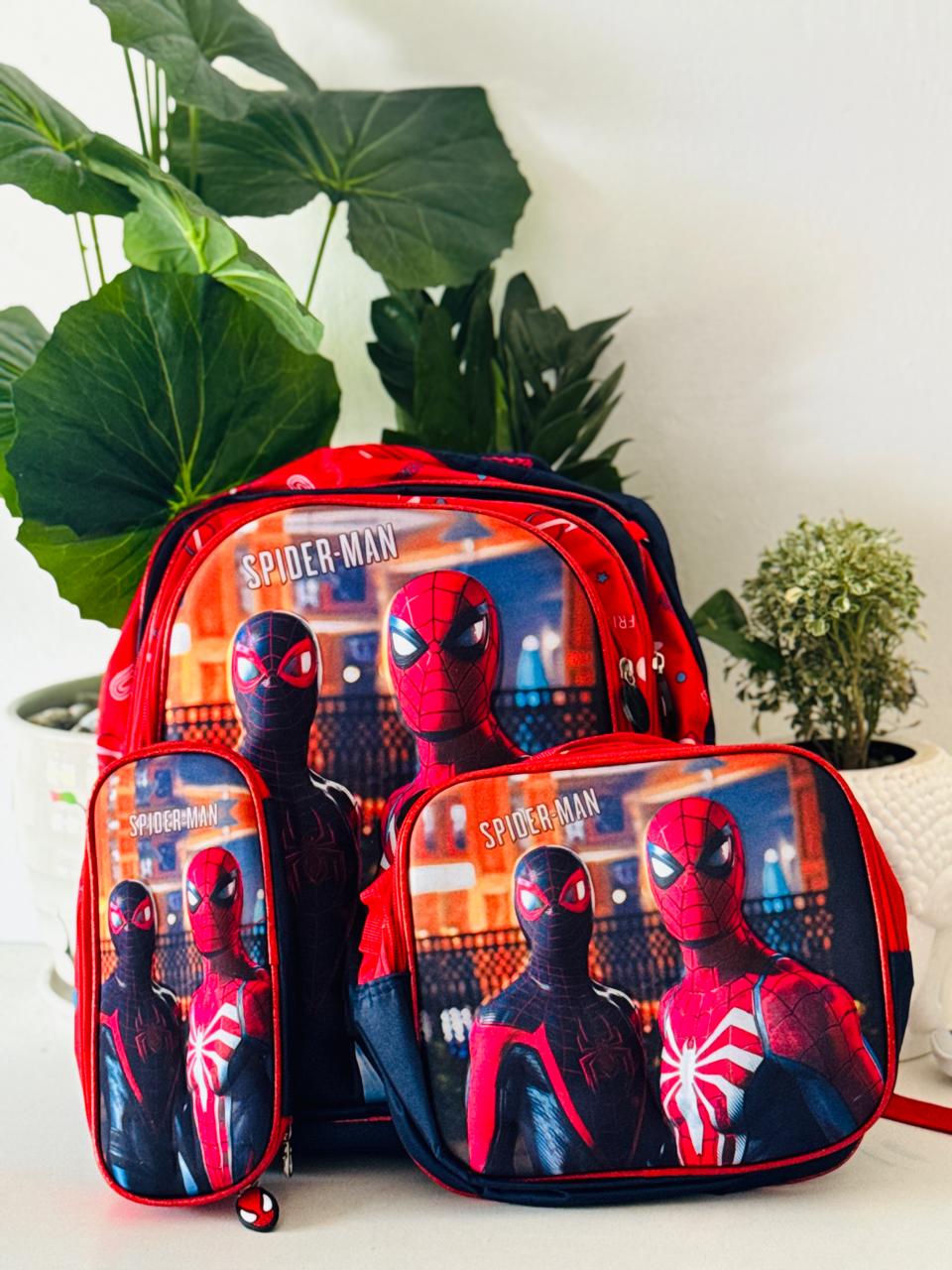 3 in 1 Hardshell Backpack