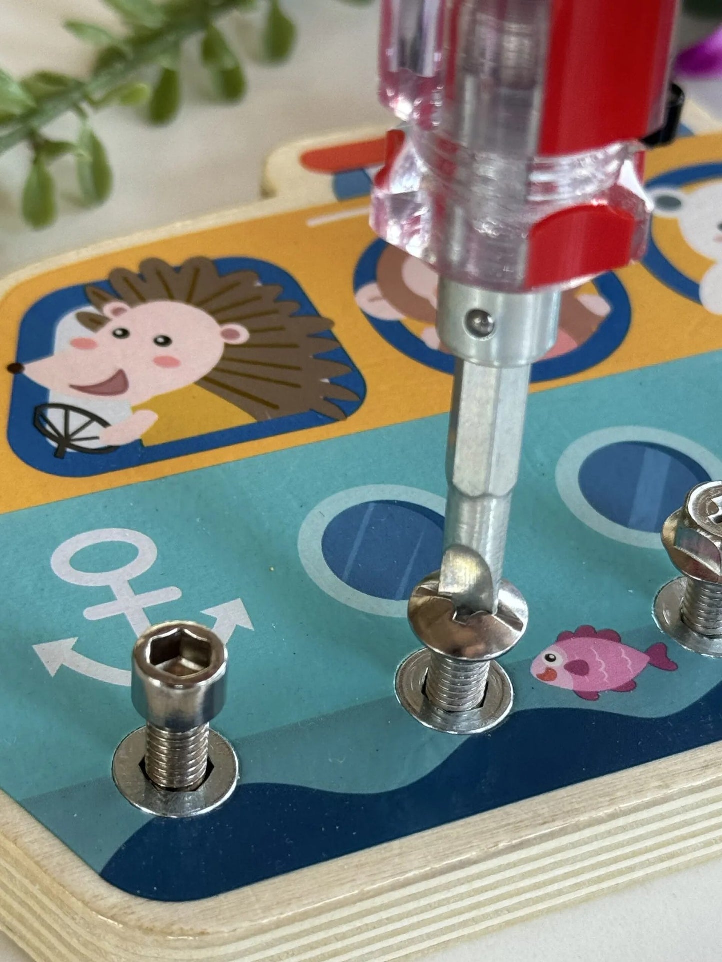 Nut Assembly Toy