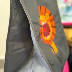 Insulated Lunch bag