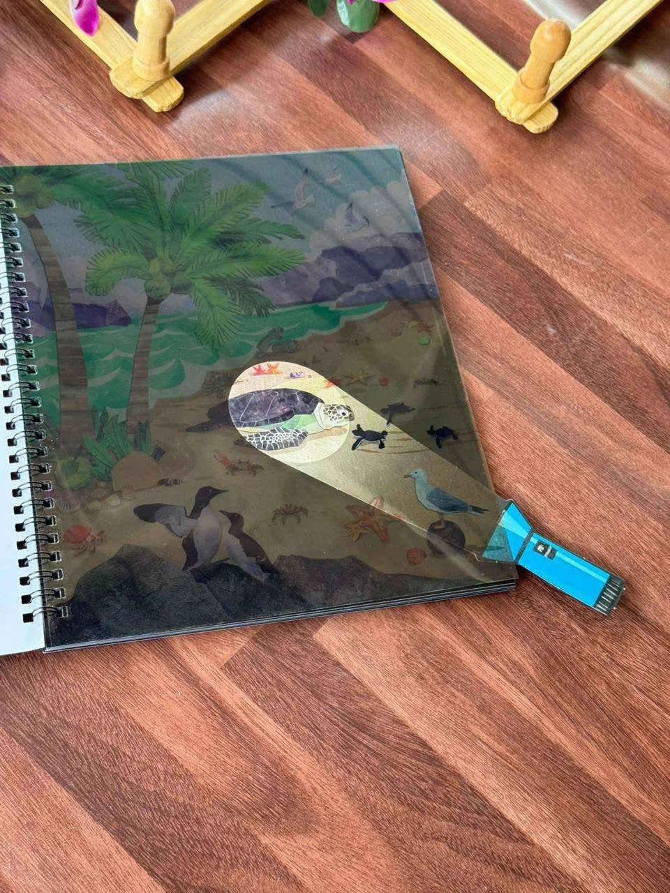 Flashlight exploration book