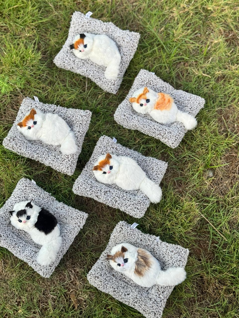 Sleeping Cat Plush Toy