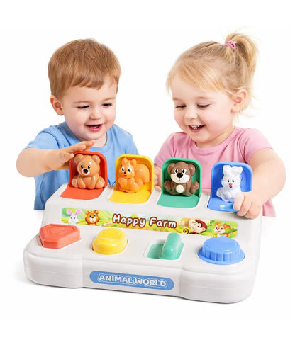 Pop Up Toy