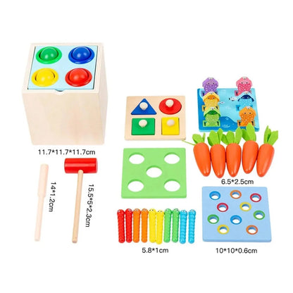 5 in 1 montessori wooden toy