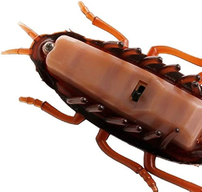 Realistic Insect Toy