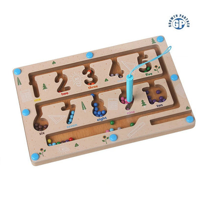 MAGNETIC BEAD COUNTING MAZE