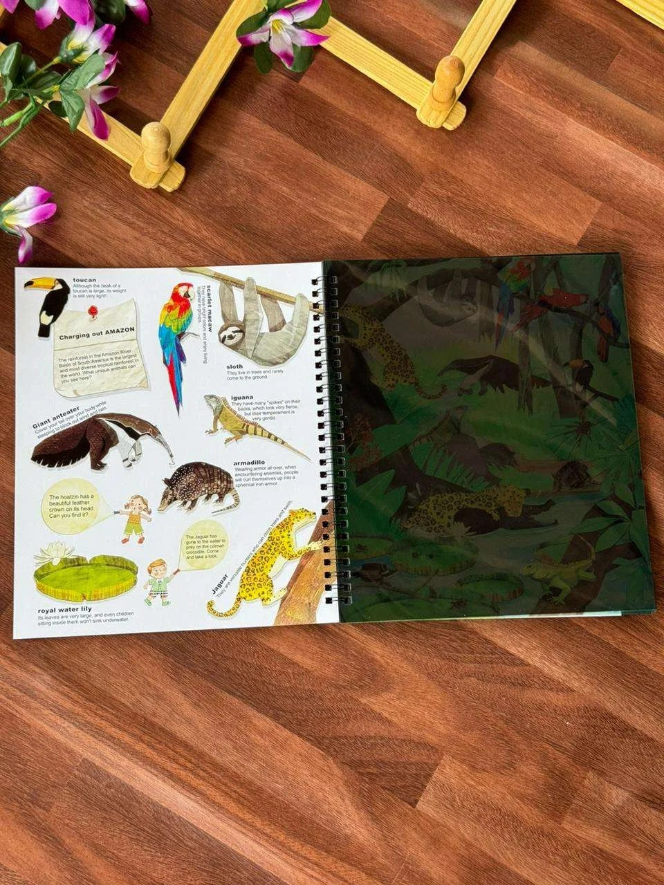 Flashlight exploration book