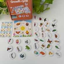 Growth Cycle