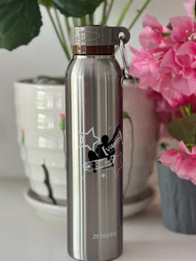 Stainless steel Thermos