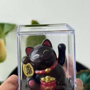 Lucky cat