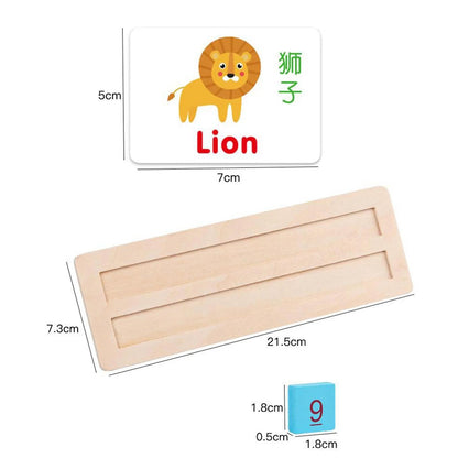 Alphanumeric teaching aids