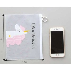 Stylish transparent pouch