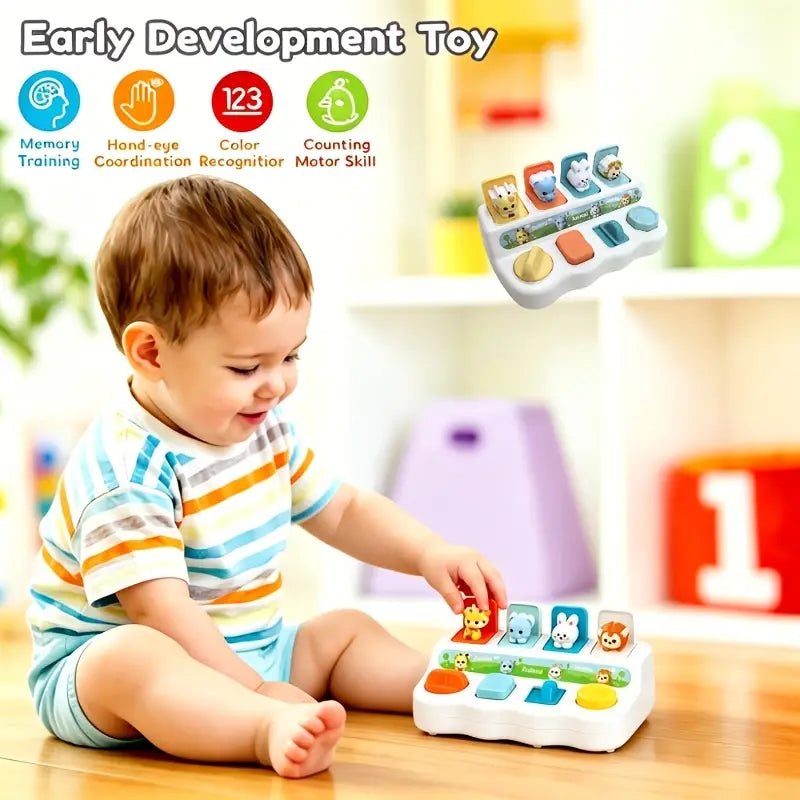 Pop Up Toy