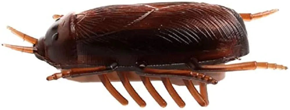 Realistic Insect Toy