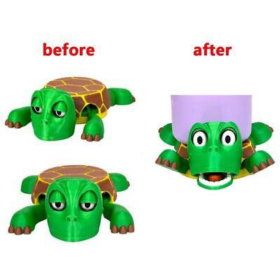 Turtle coaster