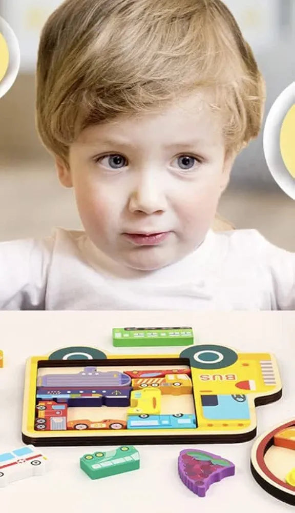 3D Animal tetris /puzzle board