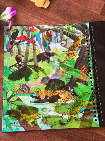 Flashlight exploration book