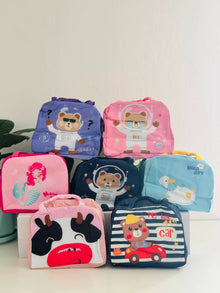 Mini lnsulated lunch Bag