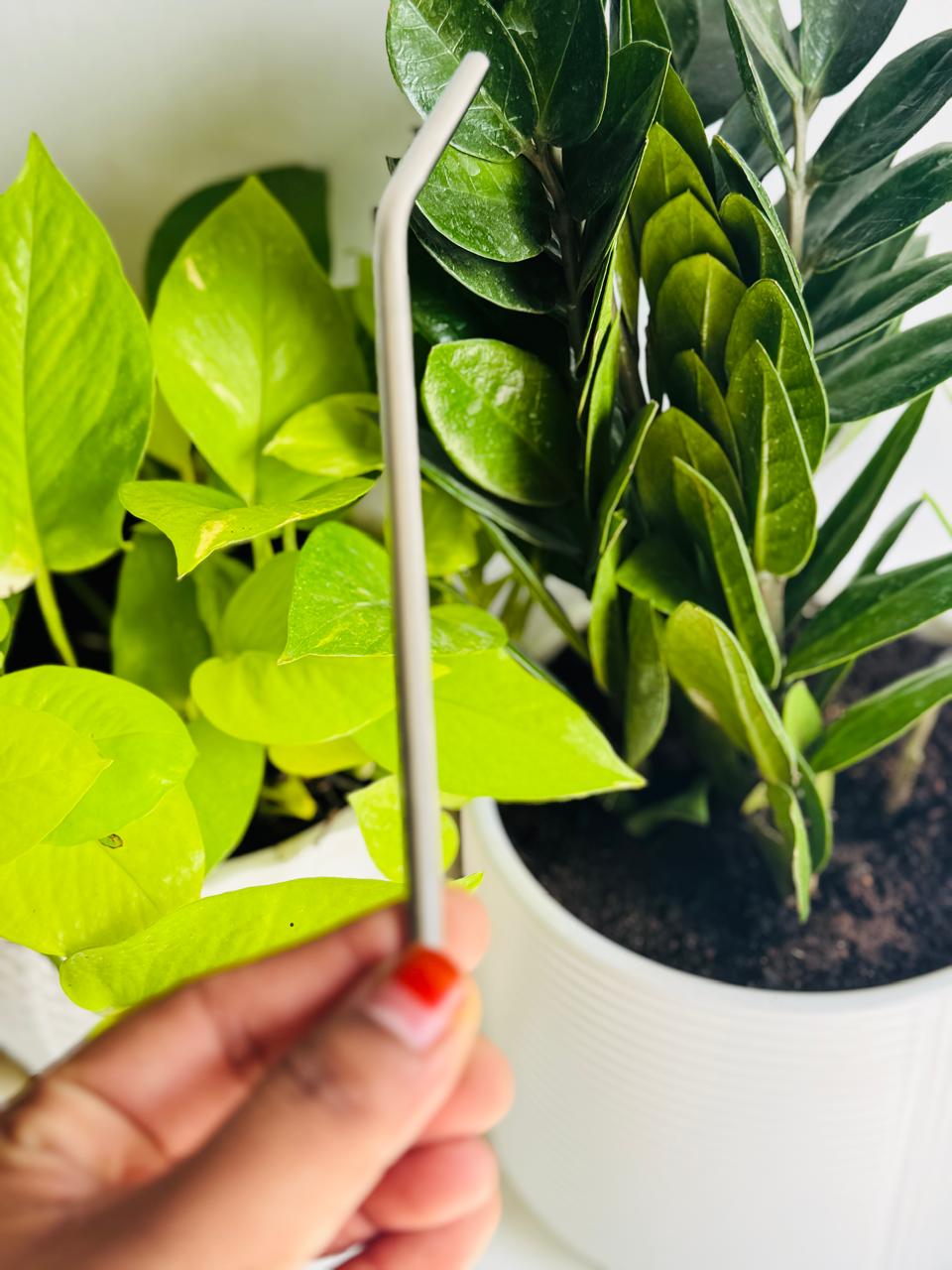 Stainless steel straw with tumbler