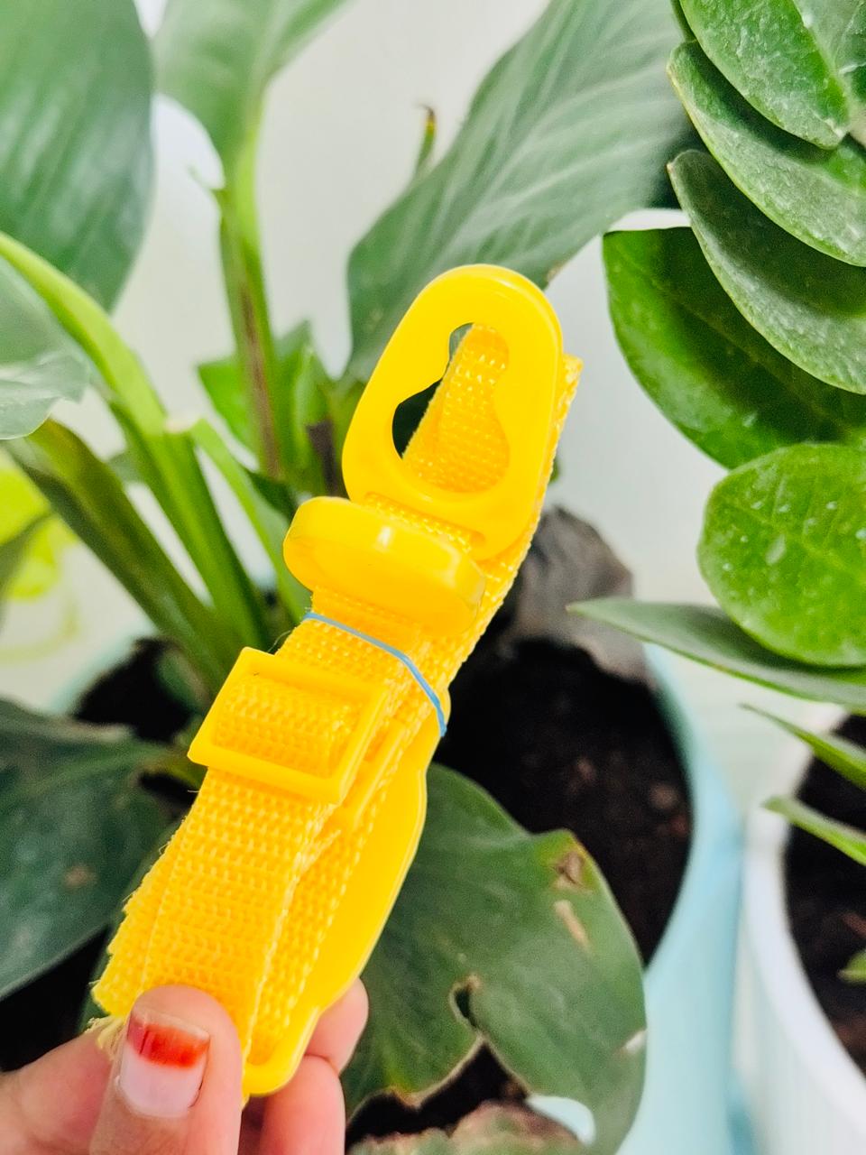 Zehui Sipper Bottle (500ml)