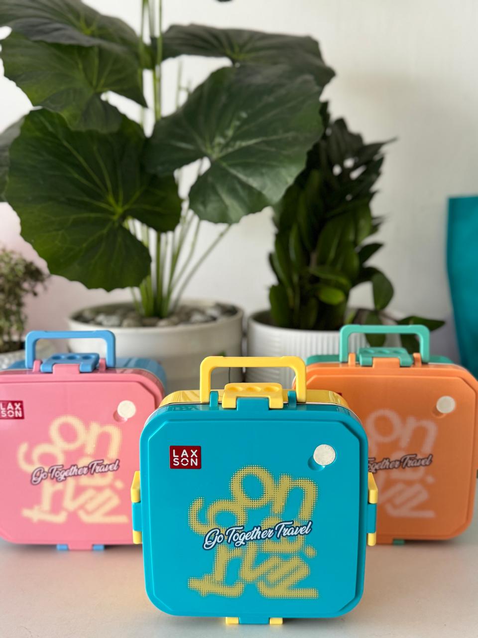 Stainless steel lunch box
