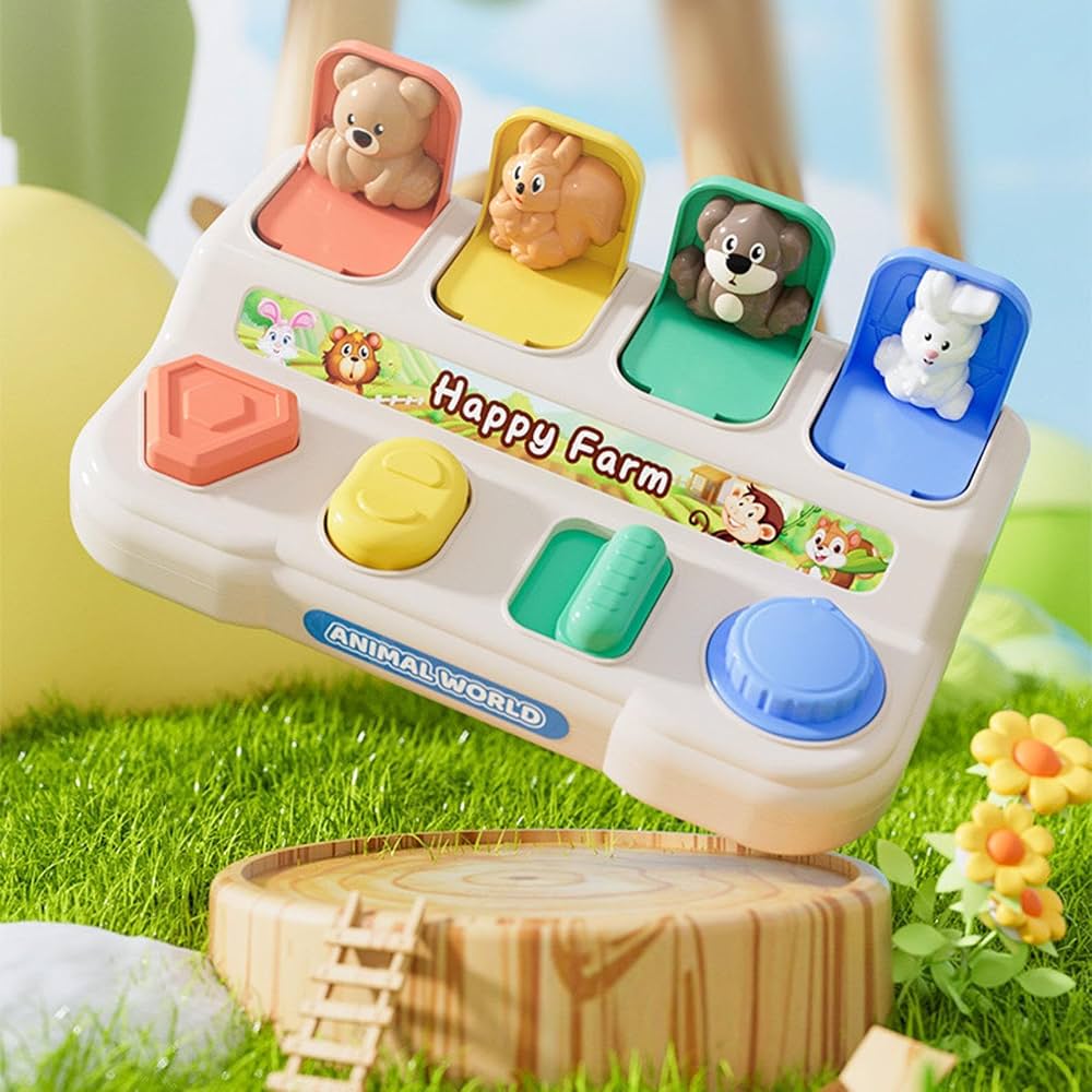 Pop Up Toy