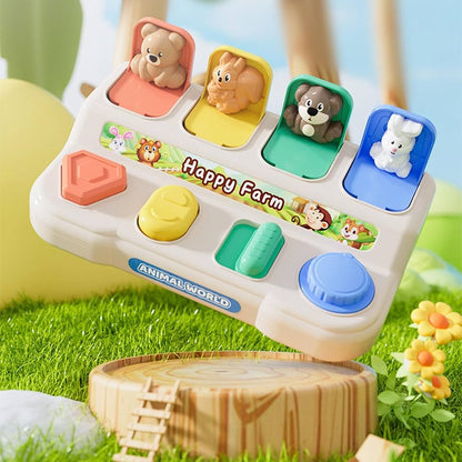 Pop Up Toy