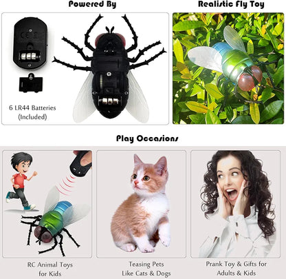 Remote Bug